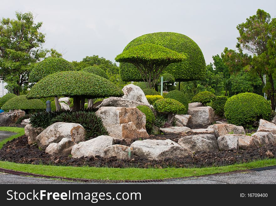 The rock garden with shrubs in the garden. The rock garden with shrubs in the garden.