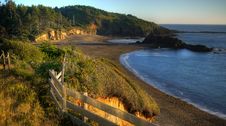 Fogarty Creek Shoreline Stock Photo Fogarty Creek Shoreline Stock Photo