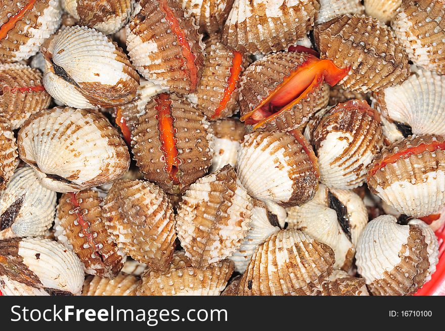 Abundance Of Live Cockles , Fresh Seafood. Abundance Of Live Cockles , Fresh Seafood
