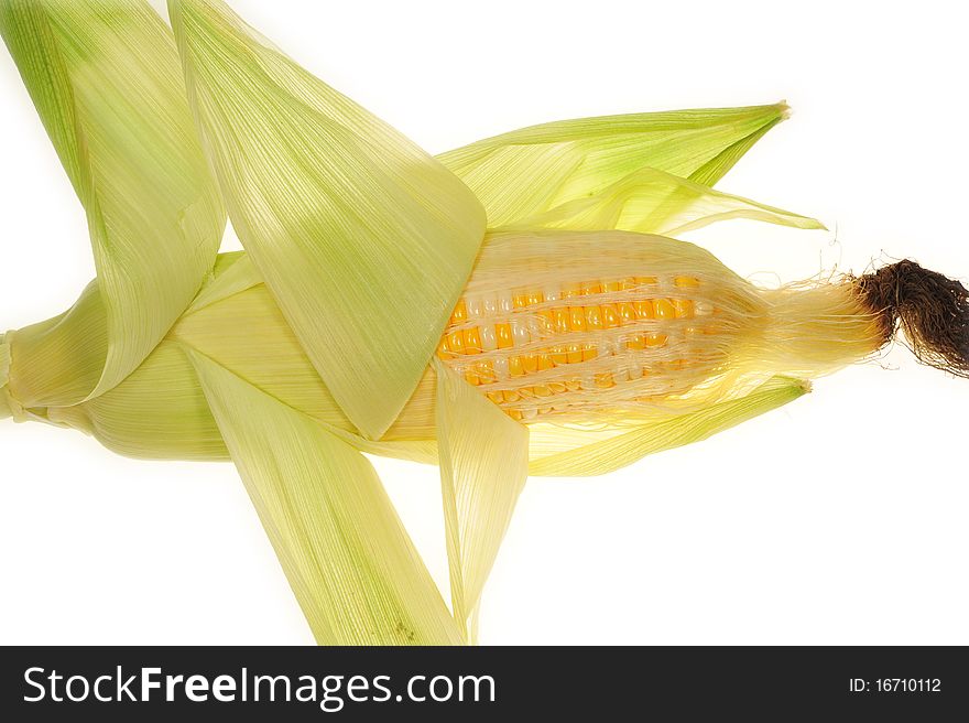 Details Of A Fresh Sweet Cone Showing The Rows Of Kernels. Details Of A Fresh Sweet Cone Showing The Rows Of Kernels