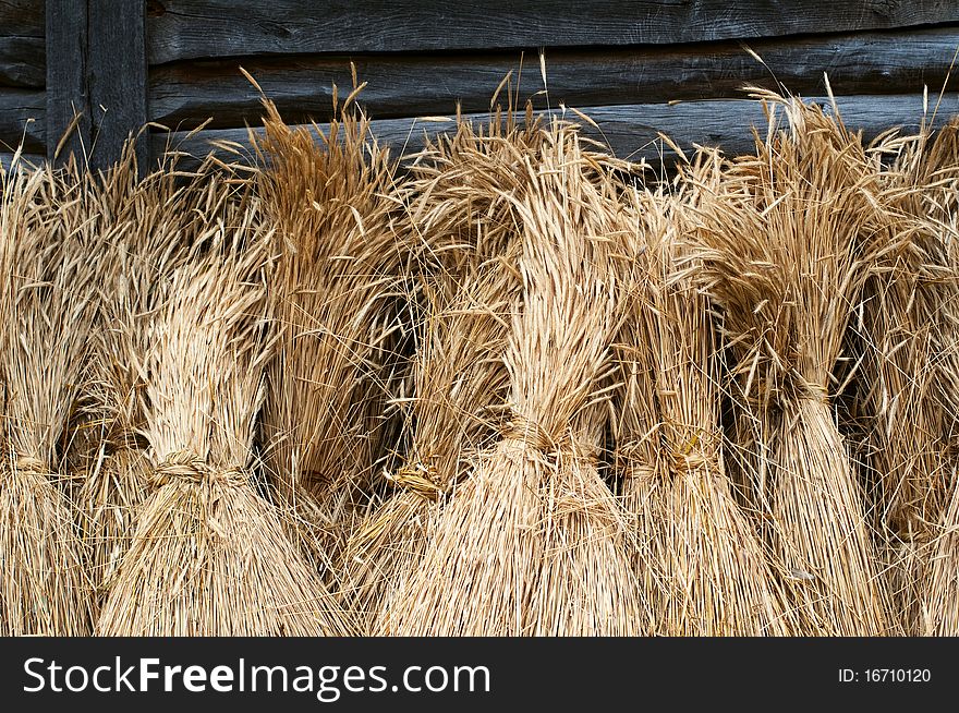 Sheaves of wheat / 1 0