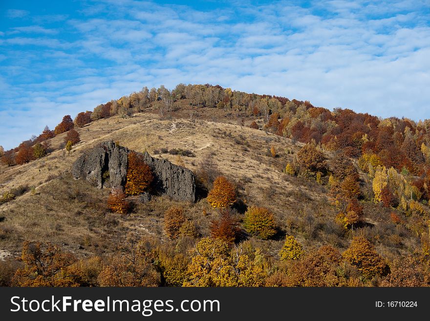 Autumn landscapes foliage against blue sky