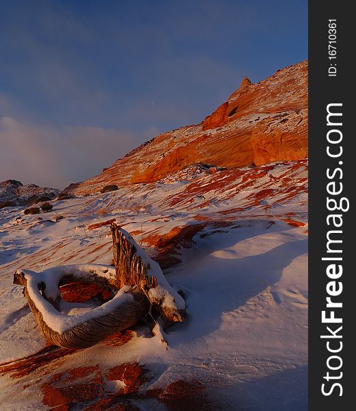 Dawn light in the desert near Coyote Bluffs, AZ during the winter months. Dawn light in the desert near Coyote Bluffs, AZ during the winter months.