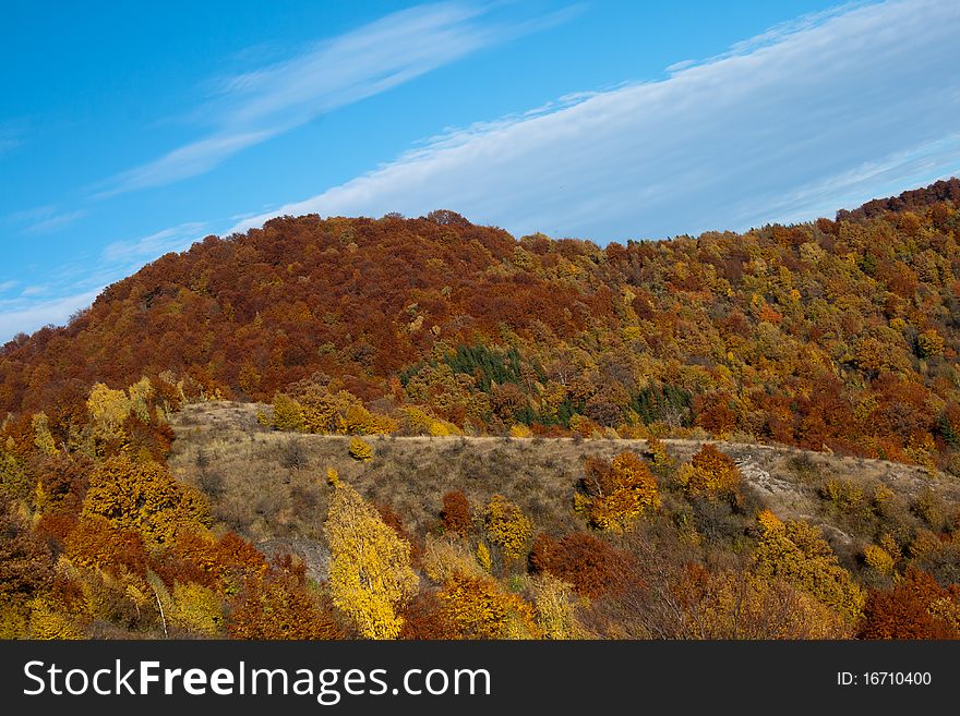 Autumn landscape foliage on blue sky