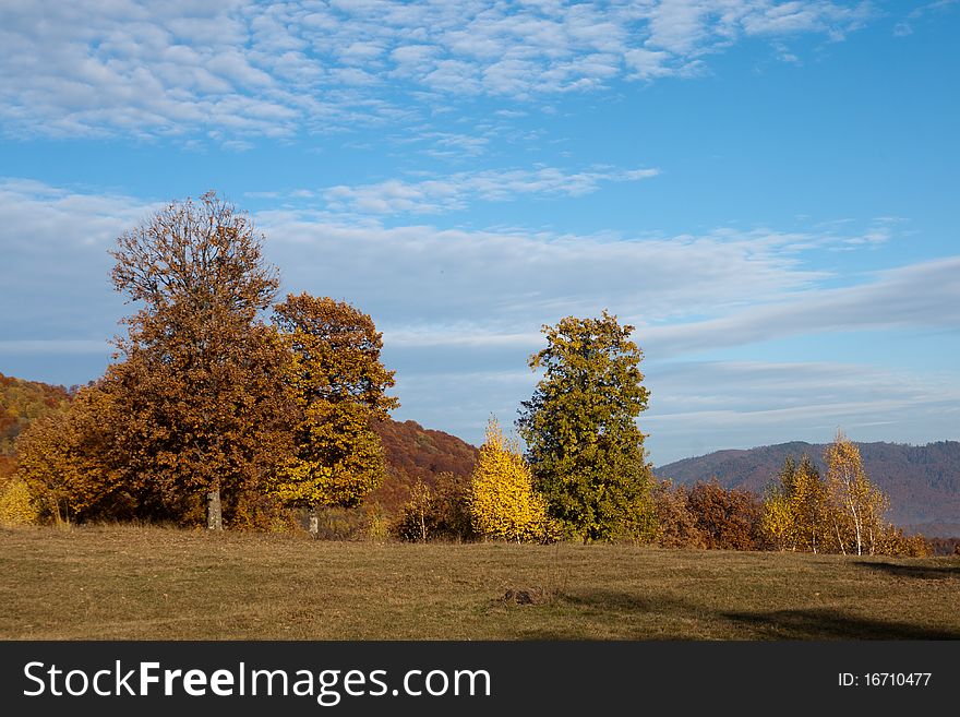 Autumn landscape trees on blue sky