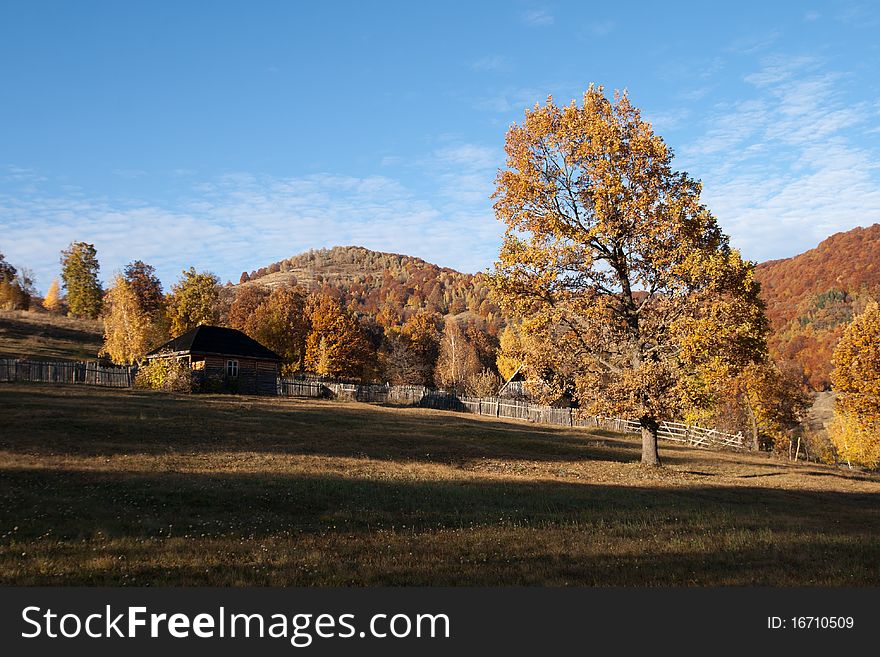 Autumn Landscape