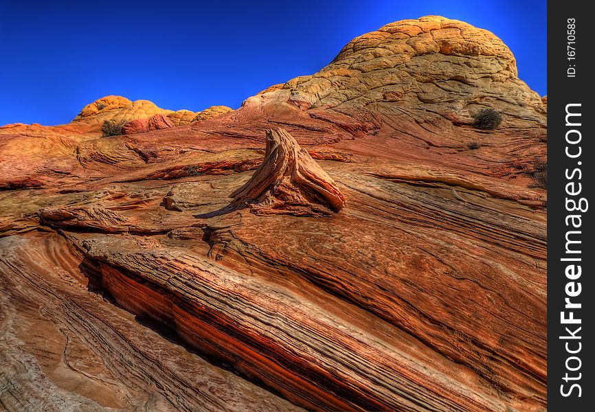 The Wave near Coyote Bluffs in Northern Arizona. Petrified sand dunes eroded by wind. HDR