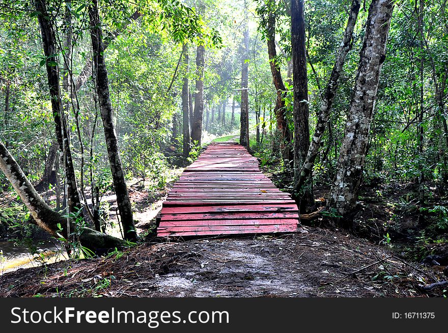 Wooden bridge in wild forest.