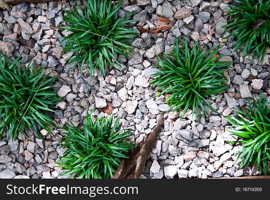 Detail of stone and green grass textures