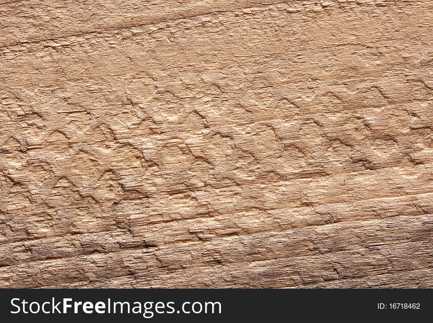 Wood background with the rough texture of the tree.