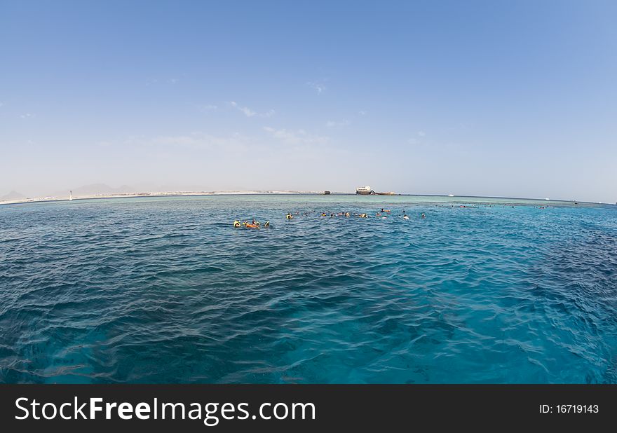 Snorkelers exploring the clear blue water of the Red Sea. Gordon reef, Straits of Tiran, Red Sea, Egypt. Snorkelers exploring the clear blue water of the Red Sea. Gordon reef, Straits of Tiran, Red Sea, Egypt.