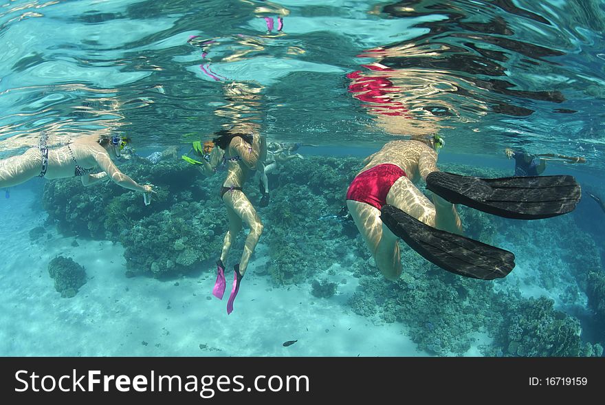 Underwater view of snorkelers in tropical clear water. Gordon reef, Straits of Tiran, Red Sea, Egypt. Underwater view of snorkelers in tropical clear water. Gordon reef, Straits of Tiran, Red Sea, Egypt.
