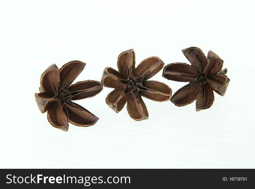 Three dried flower petals isolated on white. Three dried flower petals isolated on white