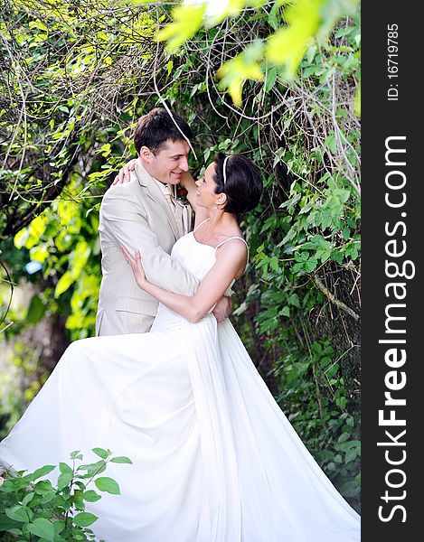Groom and bride in white dress on background of green trees. Groom and bride in white dress on background of green trees