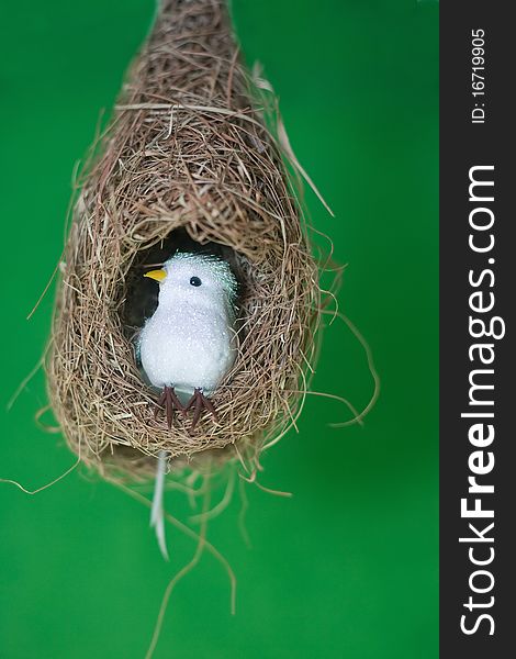 White bird in nest isolated on green