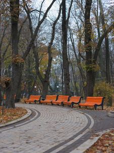 Benches In City Park Royalty Free Stock Images