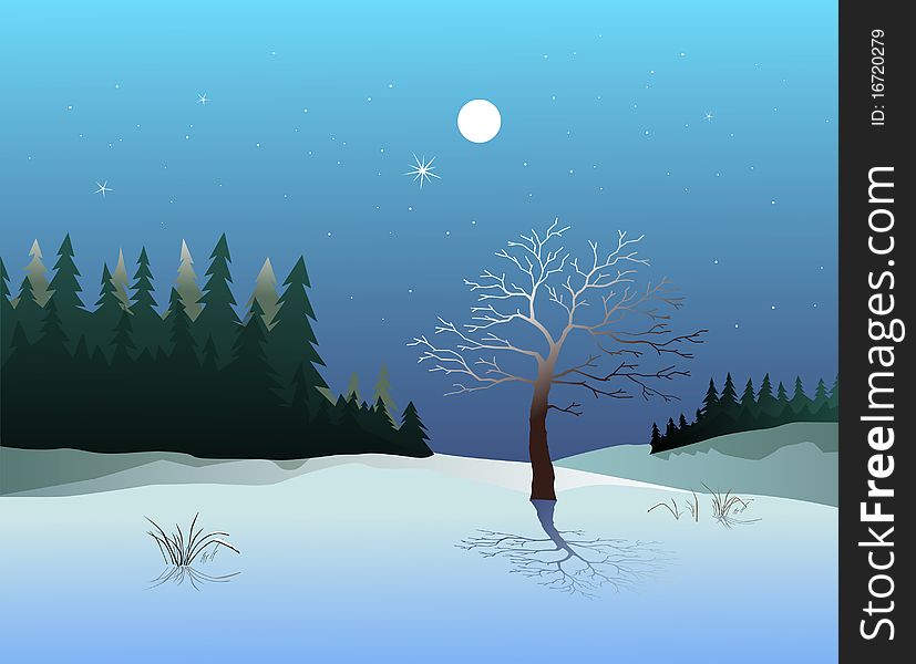 Winter night landscape with a silhouettes tree and forest. Winter night landscape with a silhouettes tree and forest