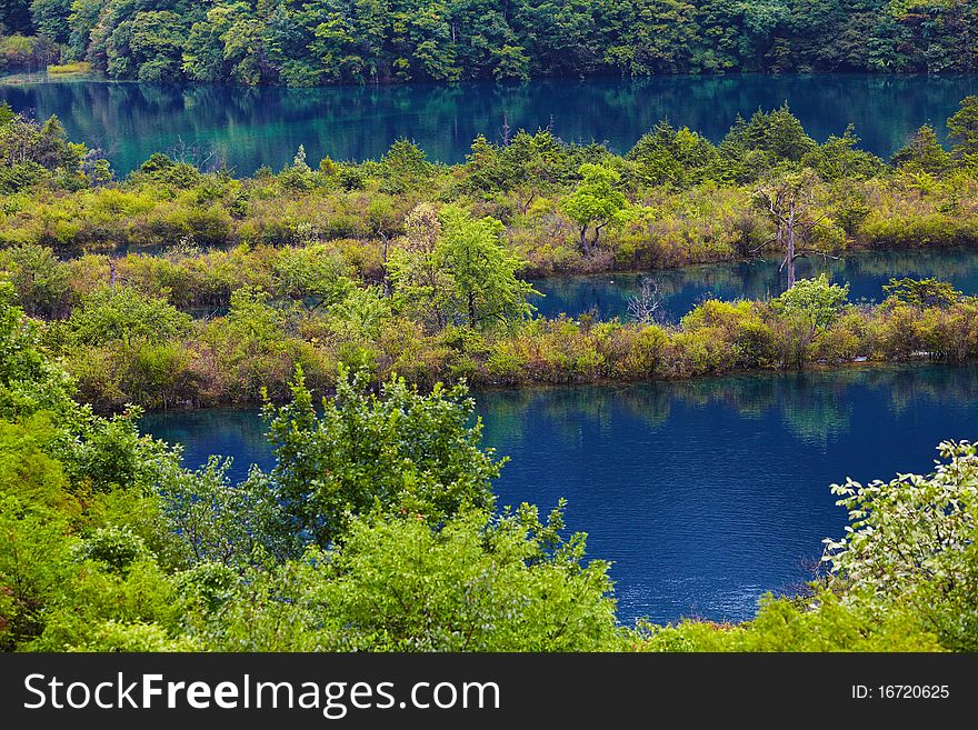 Lake and trees in jiuzhaigou secnic area