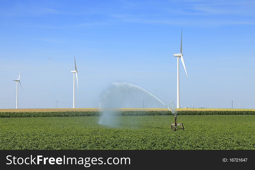 Image of wind turbines and a combine in a wheat field. Image of wind turbines and a combine in a wheat field.