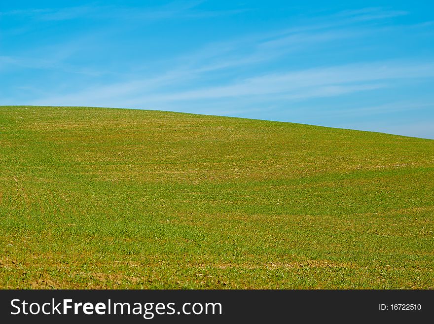 Nice autumn field with clear horizont