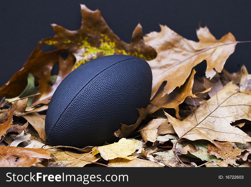 Football sits grandly in colorful autumn leaves, confident as one of autumn's favorite sports. Football sits grandly in colorful autumn leaves, confident as one of autumn's favorite sports