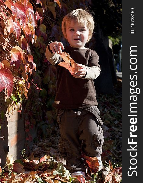 Little boy playing with autumn leaves
