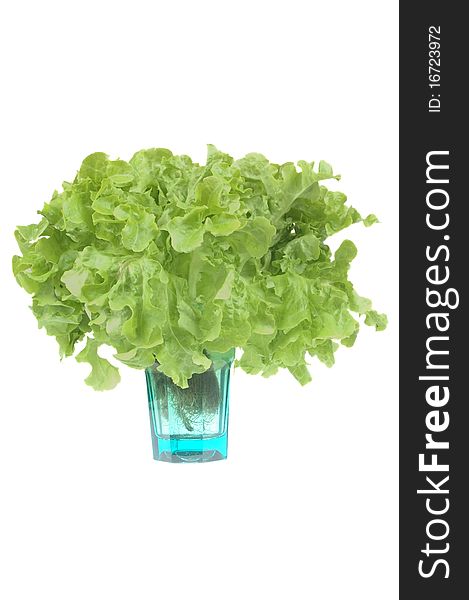 Butterhead fresh organic lettuce isolated over white. Butterhead fresh organic lettuce isolated over white