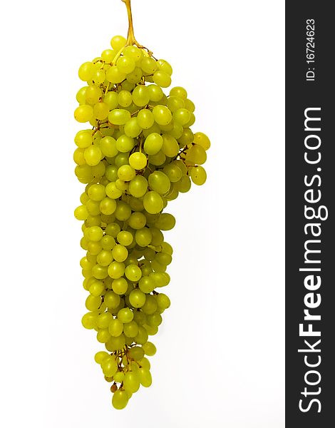 Bunch of ripe grapes on a white background