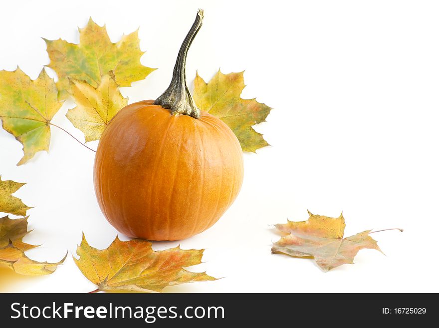 Pumpkin in a autumn background