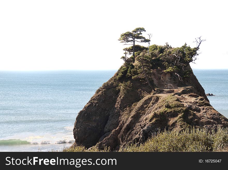 This is a large sea rock on the Oregon coast. It is climbable and has vegetation on the top, including a tree. This is a large sea rock on the Oregon coast. It is climbable and has vegetation on the top, including a tree.