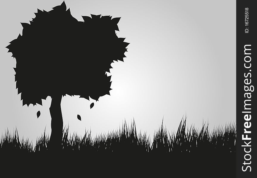 Black tree silhouette and grass.