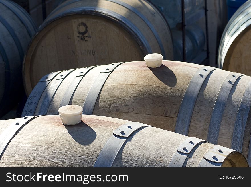 Line of wine barrels in winery