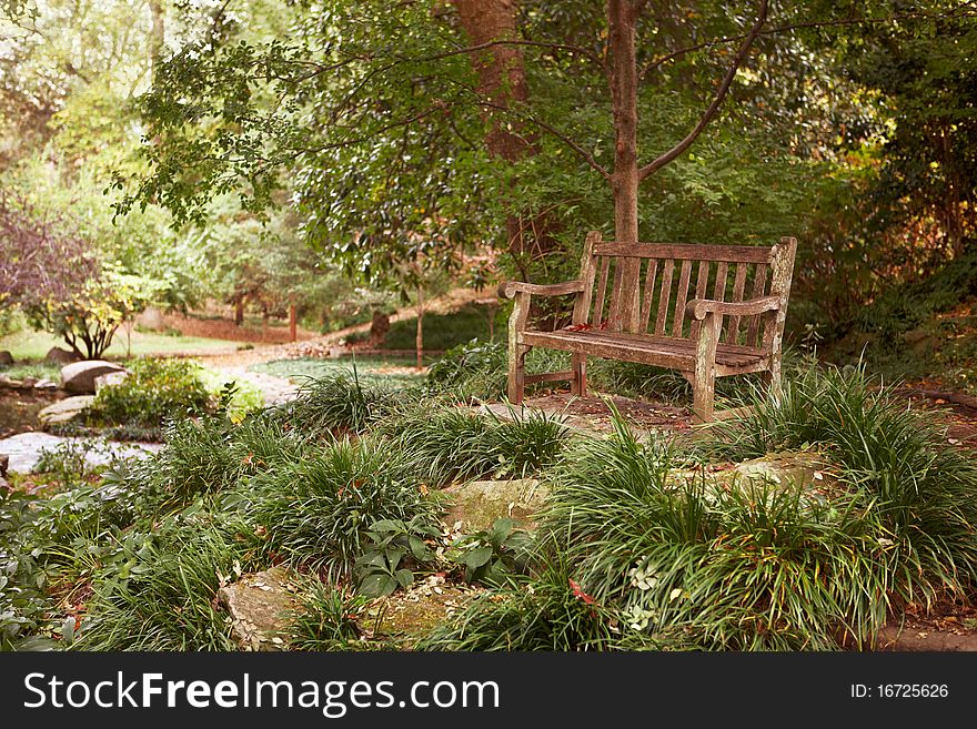 Old bench in a park. Trees, grass and rocks around.