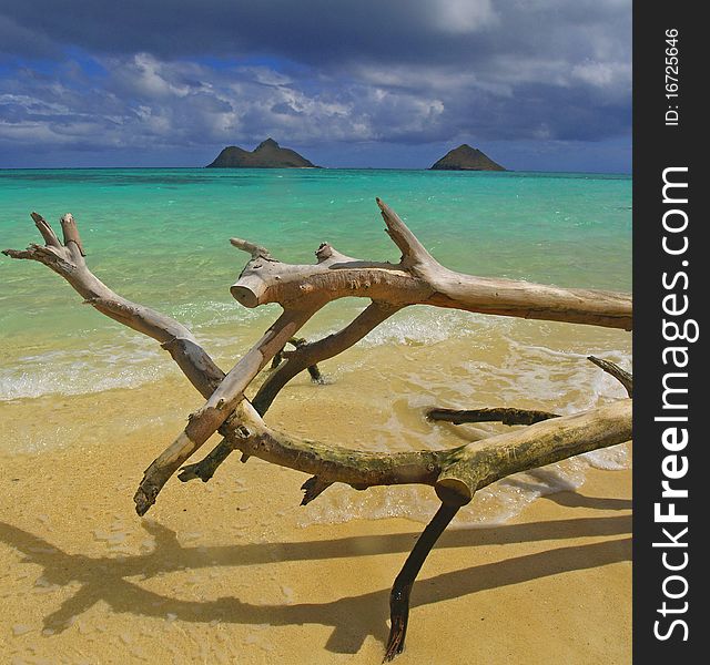 Taken on lanikai beach on a stormy...sunny day!. Taken on lanikai beach on a stormy...sunny day!