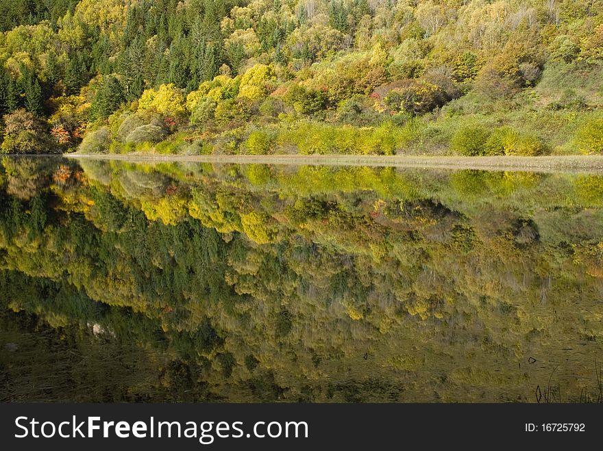 Five Flower lake in Jiuzhai Valley,China