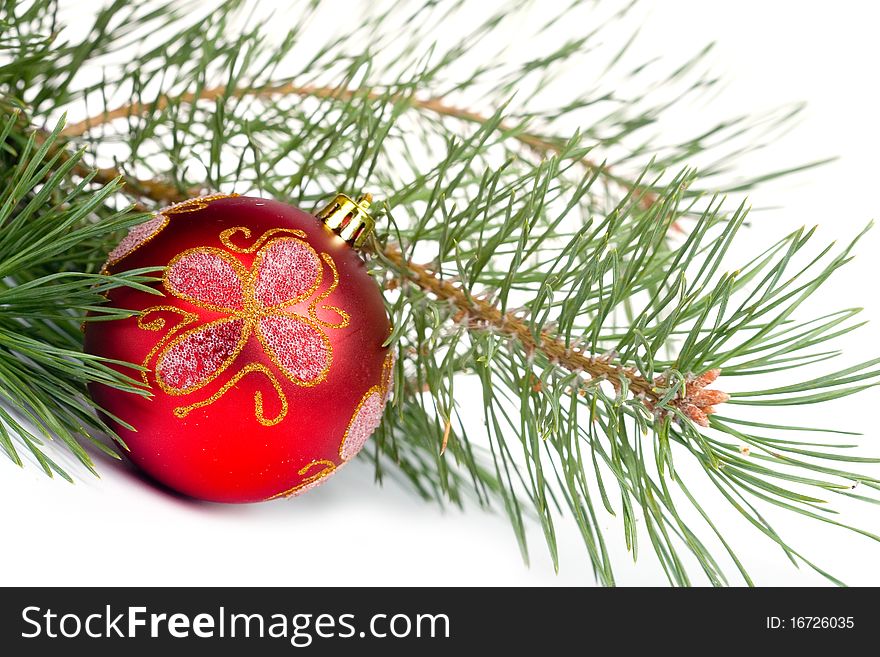 Red Christmas ball on a background of fir branch