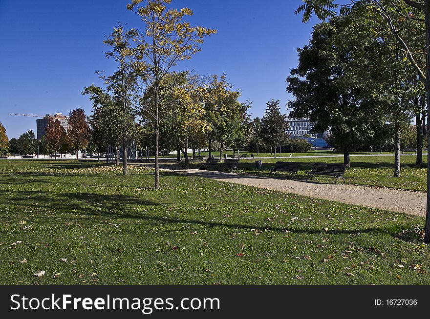 Meadows in the park in the city center of Berlin in autumn. Meadows in the park in the city center of Berlin in autumn