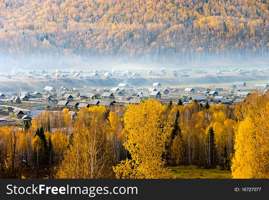 Villages of hemu embraced by forest in xinjiang,china. Villages of hemu embraced by forest in xinjiang,china