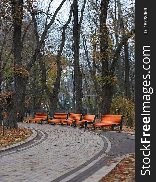 Benches in city park in the autumn