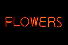 Flowers Neon Sign Stock Photography Flowers Neon Sign Stock Photography