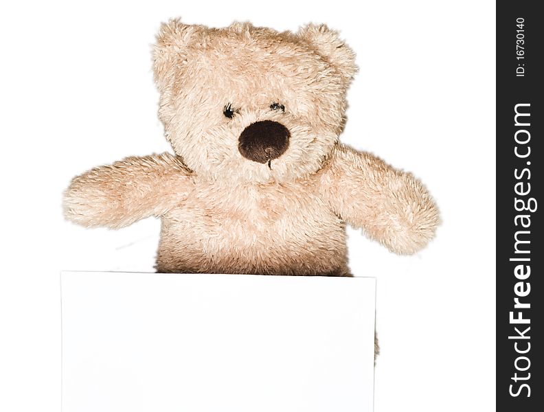Lovely, cute teddy bear holding a sheet of paper, isolated on white