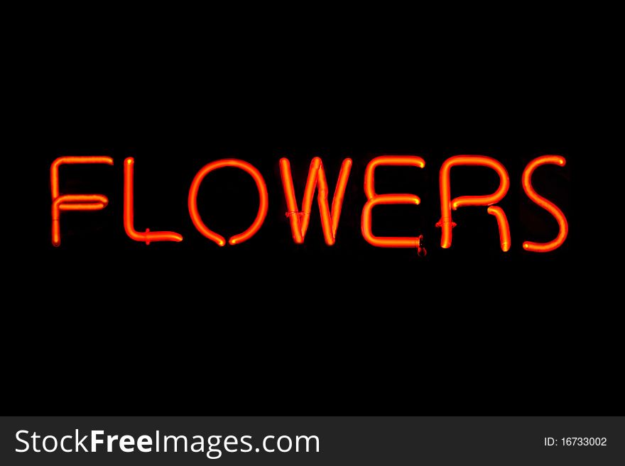 Flowers Neon Sign