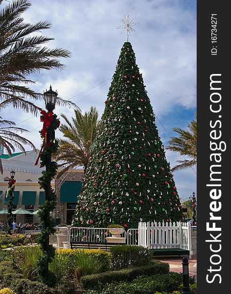 Festive Christmas Tree in center square of Lakewood Ranch, Florida. Festive Christmas Tree in center square of Lakewood Ranch, Florida
