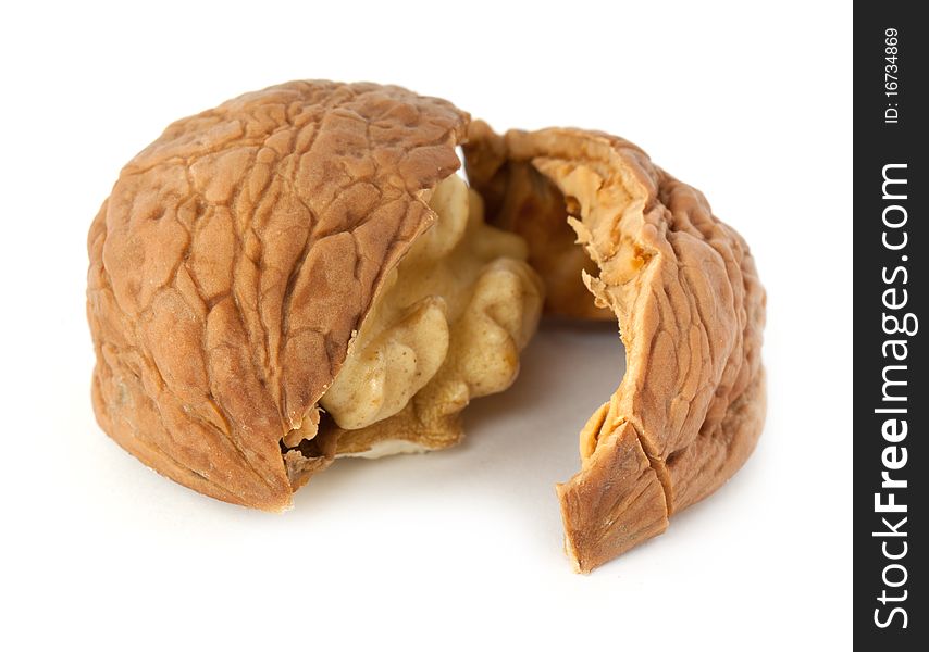 Walnut