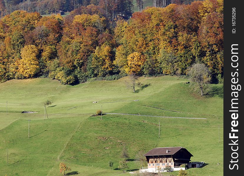 Autumn forests on the slopes of the alps. Autumn forests on the slopes of the alps