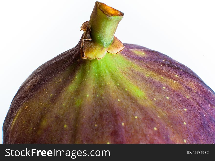 White Fig Fruit