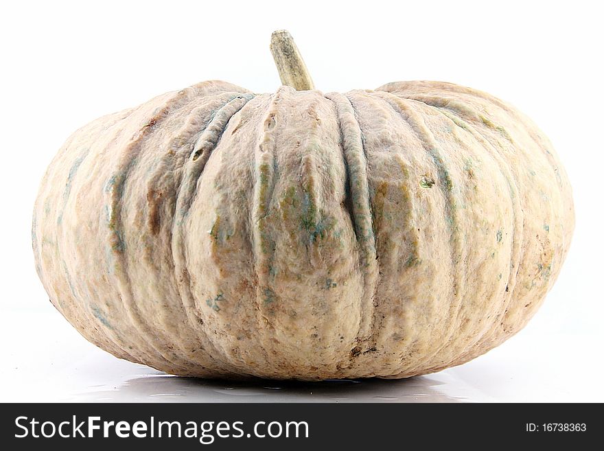 A Pumpkin with a white background.