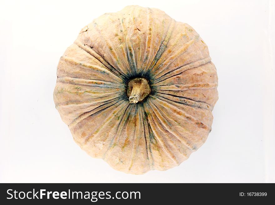 A Pumpkin with a white background.