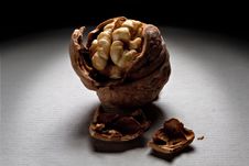 Walnut Stock Image Walnut Stock Image