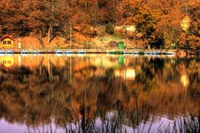 Autumn Dumbrava Sibiului Lake Stock Image